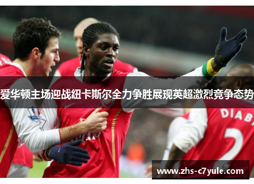 爱华顿主场迎战纽卡斯尔全力争胜展现英超激烈竞争态势